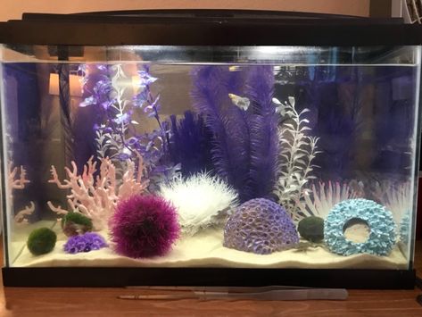 Artificial Aquarium Ideas, Pink Fish Tank Ideas, Girly Fish Tank, Pink Fish Tank, Pink Fish Tank Aesthetic, Pink Themed Fish Tank, Pink Aquarium, Coral Tank Aquarium, Coral Fish Tank