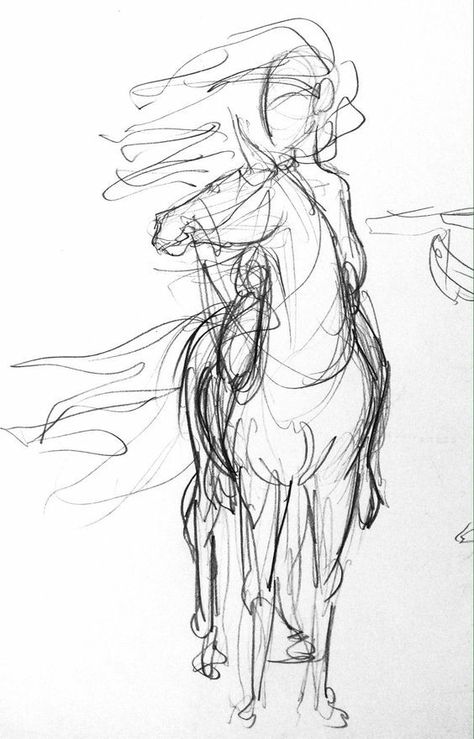 Loose Sketches, Horse Sketches, Horse Art Drawing, Horse Sketch, Horse Drawings, Horse Drawing, Arte Sketchbook, Equine Art, Art Poses