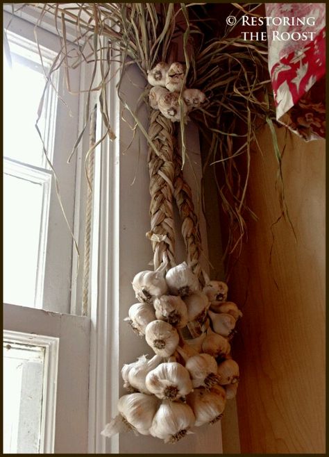 Hanging garlic Hanging Garlic, Primitive Home, Retro Futuristic, In Kitchen, Burlap Wreath, Grapevine Wreath, Grape Vines, Color Inspiration, Burlap