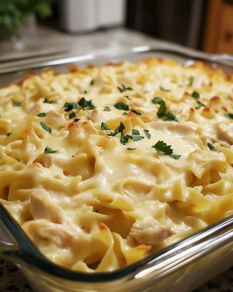 Every time I make this, Aunt Miriam says, 'It tastes like an Amish hug in a dish!' Chicken Egg Noodle Casserole, Spaghetti Pasta Recipes, Amish Country Casserole Recipe, Bakes Chicken, Egg Noodle Casserole, Cooktop Cove Recipes, Macaroni Dishes, Creamy Chicken Bake, Chicken Breast Recipes Dinners