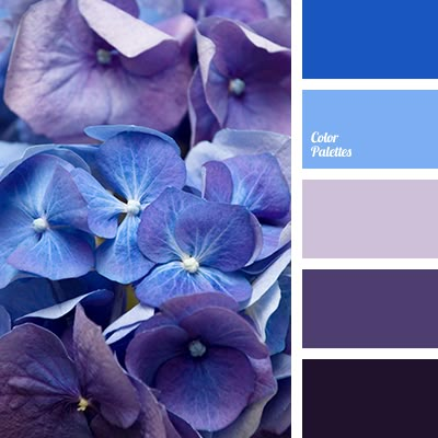 almost black, blue-color, color of violets, dark purple, designer palette, house color schemes, hydrangea color, purple, purple orchids color, selection of color, shades of purple. Palette House, House Palette, In Color Balance, Purple Color Schemes, Designer House, Color Palette Ideas, Wall Living Room, Hydrangea Colors, Orchid Color