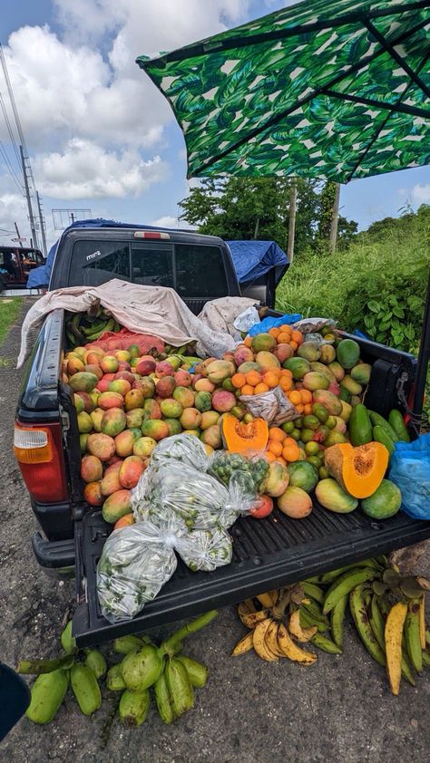 Puerto Rico Fruits, Food In Puerto Rico, Puerto Rico Lifestyle, Summer In Puerto Rico, Puerto Rico Nightlife, Food Puerto Rico, Jamaica Fruit, Puerto Rico Culture, Fruit Truck