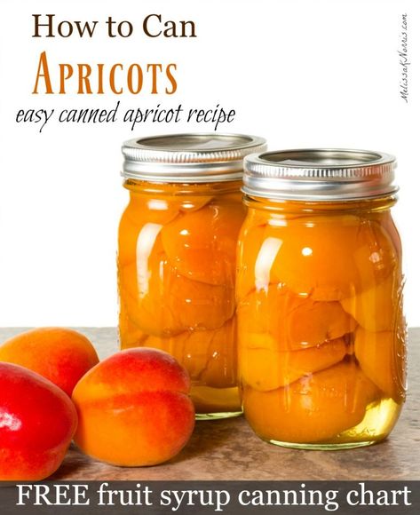 Canning Apricots, Canned Apricots, Apricot Recipes, Canning Fruit, Canning Tips, Pressure Canner, Canned Fruit, Free Fruit, Home Canning