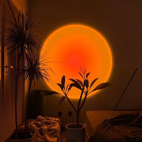 Looking to spice up your room? This sunset lamp is the way to go 🌞🔥 Led Light Decor, Sunset Lamp, Light Decor, Dark Room, Led Light, Floor Lamp, The Sun, Sun, Led