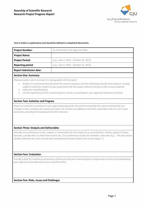 40+ Project Status Report Templates [Word, Excel, Ppt] ᐅ regarding Research Project Report Template - Best Template Ideas