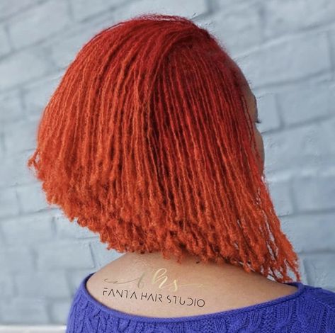 Ginger Micro Locs, Colored Sisterlocks, Micro Braids Styles, Sisterlocks Styles, Micro Braids, Short Locs Hairstyles, Hair Clippers, Curly Bob, Pretty Braided Hairstyles