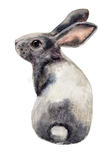 Bunny Sitting, Gray Bunny, Grey Bunny, Bunny Drawing, Bunny Pictures, Gray Eyes, Hand Art Drawing, Gray Light, Animal Logo