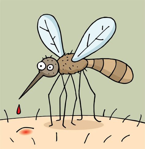 454 Anopheles Mosquito Illustrations, Royalty-Free Vector Graphics & Clip Art - iStock How To Draw A Mosquito, Mosquito Drawing Easy, Mosquito Cartoon, Mosquito Illustration, Mosquito Drawing, Mosquito Art Illustrations, Mosquito Illustration Cartoon, Cartoon Mosquito, Mosquito Images