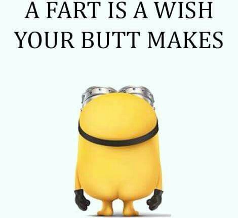 Many wishes on taco Tuesday Fart Quotes, Minion Meme, Minions Fans, Fart Jokes, Fart Humor, Funny Minion Memes, Minion Jokes, Funny Minion Quotes, Minion Quotes