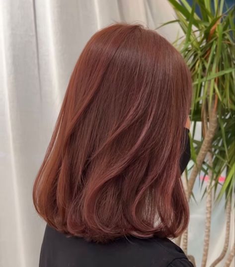 Maroon And Ginger Hair, Jisoo Ginger Hair, Maroon Auburn Hair, Light Brownish Red Hair Color, Auburn Hair On Brown Hair, Coffee Bean Hair Color, Red Brownish Hair Color, Ginger Brownish Hair, Asian Reddish Brown Hair