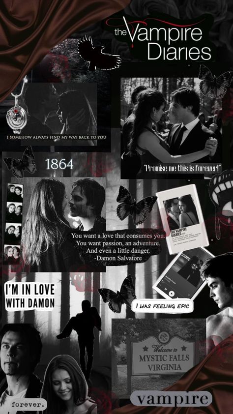 #vampirediaries #black ❤️‍🔥🐦‍⬛ Tvd Aesthetic, Vampire Diaries Poster, Vampire Diaries Movie, Vampire Diaries Quotes, Vampire Diaries Seasons, Vampire Diaries Wallpaper, Vampire Diaries Damon, The Best Series Ever, Vampire Diaries Cast