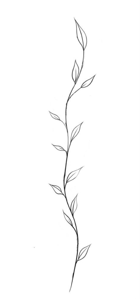 Tattoo Leaves Vine, Simple Leaf Vine Tattoo, Minimal Ivy Tattoo, Vine Sketch Simple, Leaf Chain Tattoo, Vines Art Drawing, Vine Work Tattoo, Thorn Vine Drawing, Olive Branch Drawing Tattoo