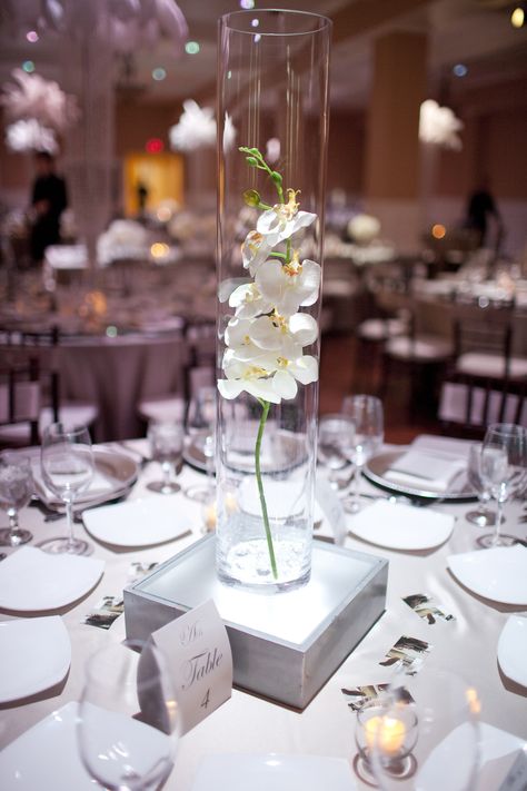 Orchid Centerpiece in Glass Cylinder | simple & beautiful I've made lightboxes for cheap I think I will do that Orchids Centerpiece, Simple Wedding Centerpieces Round Tables Floating Candles, Orchid Party Decor, Single Stem Centerpiece Wedding, Glass Cylinder Centerpieces Wedding, Orchid Table Centerpiece, Orchid Centerpiece, Simple Orchid Centerpiece, Orchid Table Decor