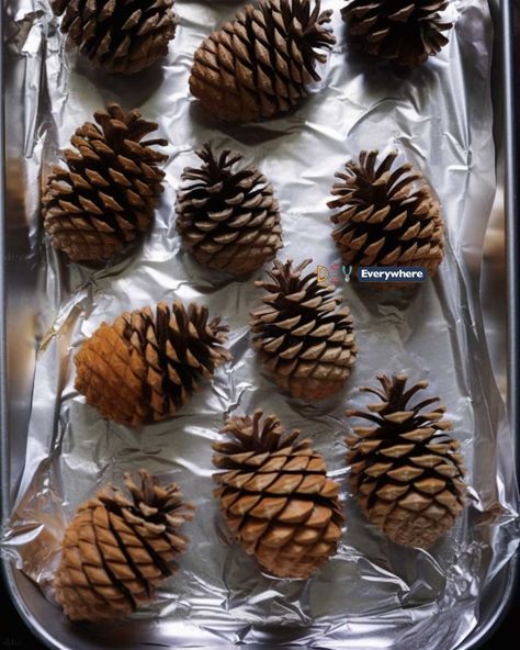 Baking Pinecones, Pinecone Brownies With Almonds, Baking Pine Cones For Crafts, How To Make Homemade Cinnamon Pine Cones, Diy Pinecone Fire Starters, Cinnamon Pinecones, Scented Pinecones, Pinecone Crafts, Diy Scent