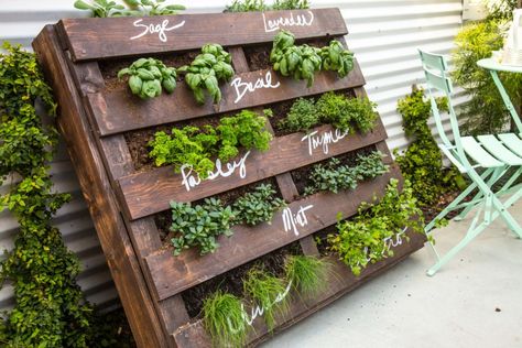 Pallet Herb Garden, Plantarea Legumelor, Diy Garden Landscaping, Herb Garden Pallet, Funny Vine, Outdoor Herb Garden, Diy Herb Garden, Herb Garden Design, Vertical Herb Garden