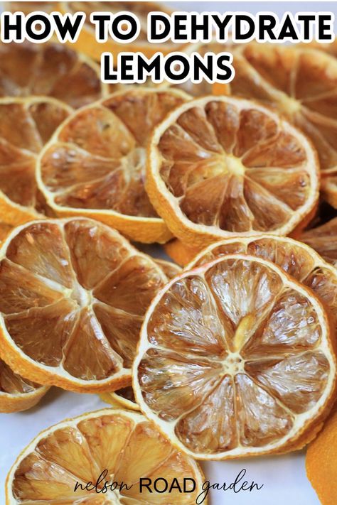 Dehydrate Lemons, Dehydrated Lemons In Dehydrator, Dehydrating Lemons, Dehydrating Lemons In Dehydrator, Dehydrated Lemon Slices, Dehydrate Lemon Slices, Dehydrated Lemons, Holiday Potpourri, Candied Lemons