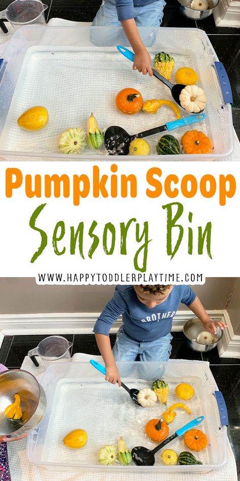 Prek Sensory, Halloween Activities For Toddlers, Fall Activities For Toddlers, Toddler Sensory Bins, Preschool Sensory, Fall Lesson Plans, Halloween Sensory, Toddler Class, Pumpkin Activities