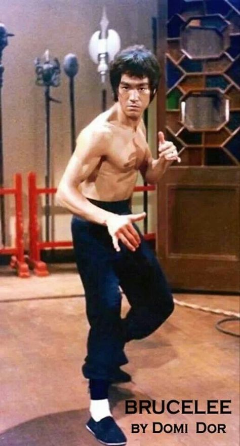 . Bruce Lee Kung Fu, Bruce Lee Pictures, Bruce Lee Art, Bruce Lee Martial Arts, Bruce Lee Quotes, Bruce Lee Photos, Steven Seagal, Martial Arts Movies, Brandon Lee