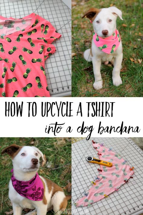 See how to upcycle a tshirt into a dog bandana with this free PDF pattern and photo tutorial! A fun beginner sewing project to sew for dogs. Diy Dog Bandana Pattern, Diy Dog Bandana, Diy Bandana, Bandanas Diy, Dog Bandana Pattern, Bandana For Dogs, Dogs Diy Projects, Diy Dog Toys, Dog Diy