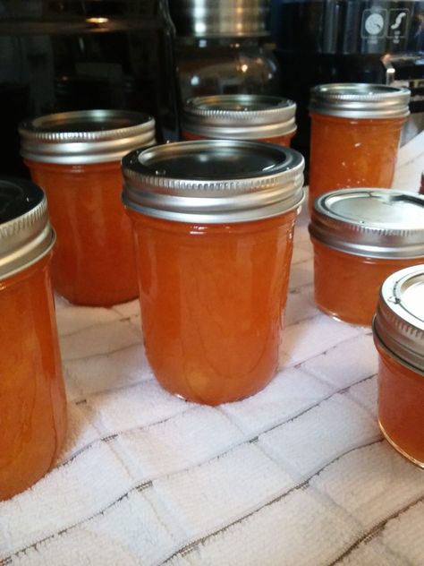 Canning and Cooking - Iowa Style - Cantaloupe Jam Cantaloupe Jam, Cantaloupe Jam Recipes, Cantaloupe Recipes, Canning Jam Recipes, Fruit Butters, Fit Moms, Canning Fruit, Preserving Recipes, Home Canning Recipes