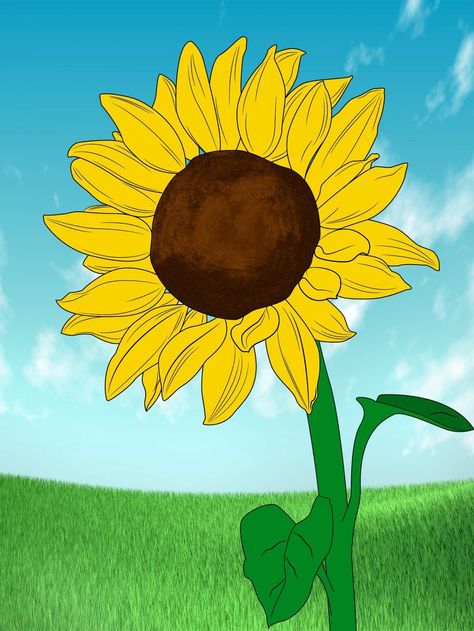 Sunflower Murals, Draw A Daisy, Sunflower Mural, Draw A Sunflower, Bugs Drawing, Draw A Rose, Sunflower Leaves, Sunflower Drawing, The Sunflower