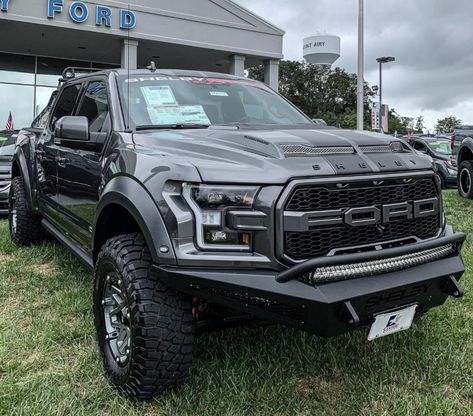 Ford Raptor Shelby, Ford Velociraptor, Shelby Truck, Shelby Raptor, Ford Raptor Truck, Fords 150, Car Aesthetics, F150 Raptor, Ford F150 Raptor