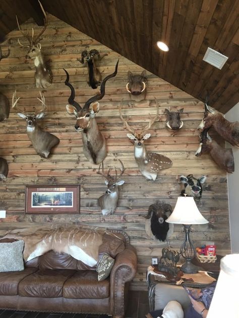 Taxidermy Room Ideas, Deer Hunting Room, Taxidermy Decor Living Room, Taxidermy Workshop, Cabin Wall Decor Ideas, Trophy Rooms Hunting, Hunt Room, Hunting Room Design, Vault Room