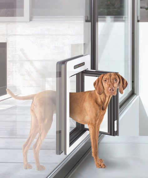 Passive house is for everyone…even man's best friend! Window Dog Door, Smart Dog Door, Automatic Dog Door, Best Dog Door, Large Dog Door, Pet Doors, Pet Door, Dog Rooms, Cat Door