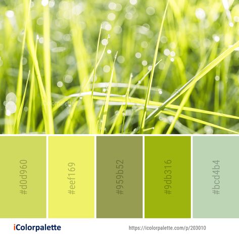 Color Palette ideas from 3434 Grass Images | iColorpalette Grass Color Palette, Color Palettes For Home, Grass Images, Green Color Palettes, Color Palette Ideas, Water Images, Grassy Field, Palette Ideas, Iphone Homescreen Wallpaper