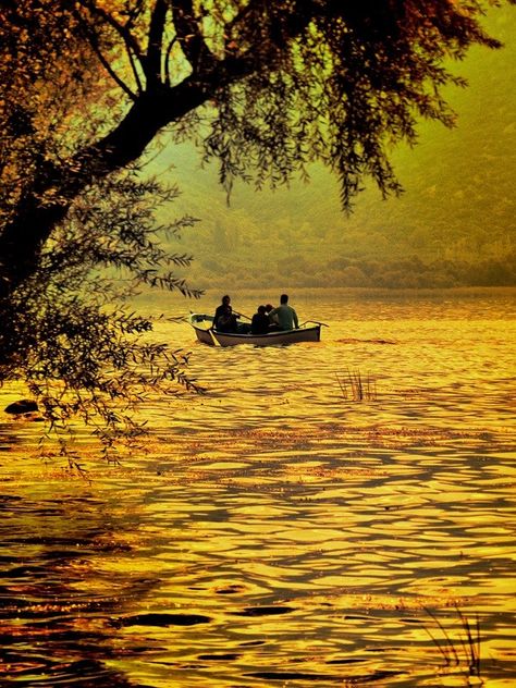 'Autumn and Golden Lake' by Mustafa ILHAN on 500px #Uluabat_Lake #Turkey Golden Lake, Picture Places, Autumn Beauty, Mellow Yellow, Beautiful Photography, Beautiful World, Wonders Of The World, Beautiful Nature, Fall Colors