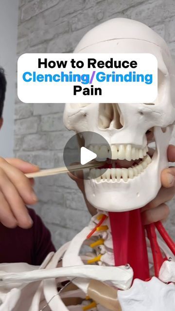 Jaw Clenching Remedy, Jaw Exercises Tmj, Couple Exercises, Tmj Exercises, Jaw Pain Relief, Tmj Headache, Wisdom Teeth Pain, Teeth Clenching, Jaw Exercises