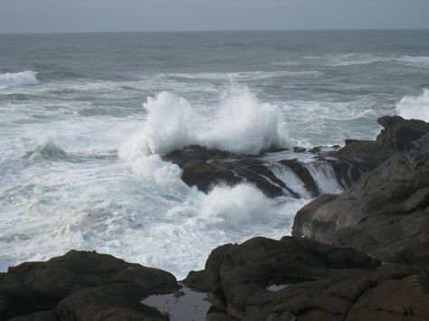 Oregon Coast Southern Oregon, Gloucester, Oregon Coast, Ponds, Washington State, Happy Place, Pacific Northwest, North West, Happy Places