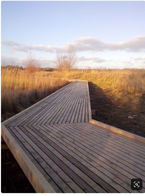 Landscape Rake, Wooden Path, Wooden Walkways, Landscape Products, Spinal Cord, Outdoor Wood, Urban Planning, Landscape Architect, Urban Landscape