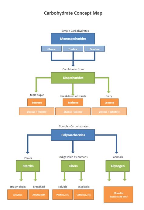 Carbohydrate Concept Map | EdrawMax Free Editbale Printable Carbohydrates Drawing, Carbohydrates Biochemistry, Carbohydrates Notes, Concept Map Aesthetic, Science Witch, Carbohydrates Biology, Study Tricks, Chem Notes, Medical Inspiration