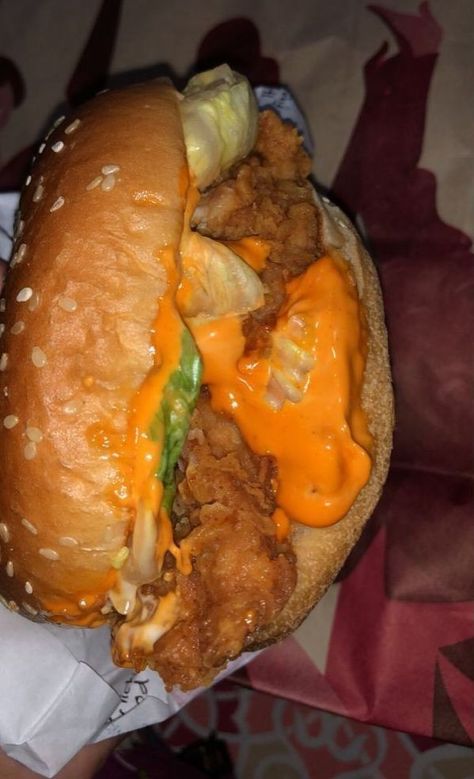 Kfc Snap, Burger Snap, Kfc Burger, Food For The Gods, Food Snap, Eating Food Funny, Foodie Instagram, Delicacy Food, Food Therapy