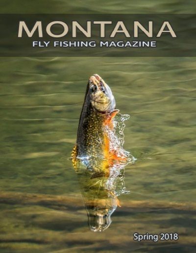 Montana Fly Fishing, Fly Fishing, Montana, Fish Pet, Fish, Fine Art, Animals