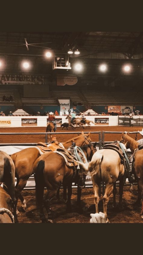 Asthetic Country Pictures, Rodeo Backgrounds, Roping Aesthetic, Rodeo Asethic, Rodeo Arena, Rodeo Wallpapers, Rodeo Wallpaper, Rodeo Aesthetic, Barrel Racing Aesthetic