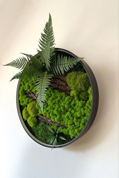 The picture is made of natural green mosses and plants. There are 2 ferns and 3 pieces of bark. The picture is in round, black frame Moss Wall Art, Preserved Moss, Moss Art, Moss Wall, Home Decor Signs, Wine Cellar, Window Display, Creating Art, Shades Of Green