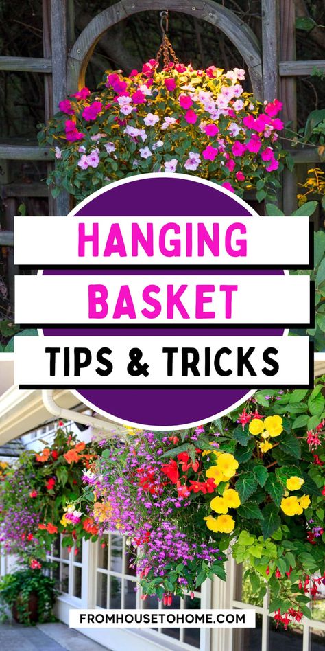 Diy Hanging Baskets Flowers, Pergola Hanging Baskets, Best Hanging Basket Flowers, Silk Flower Hanging Basket Diy, How To Plant Hanging Flower Baskets, Hanging Planters Outdoor, Hanging Basket Garden, Fuschia Flowers Hanging Baskets, Hanging Plants Outdoor