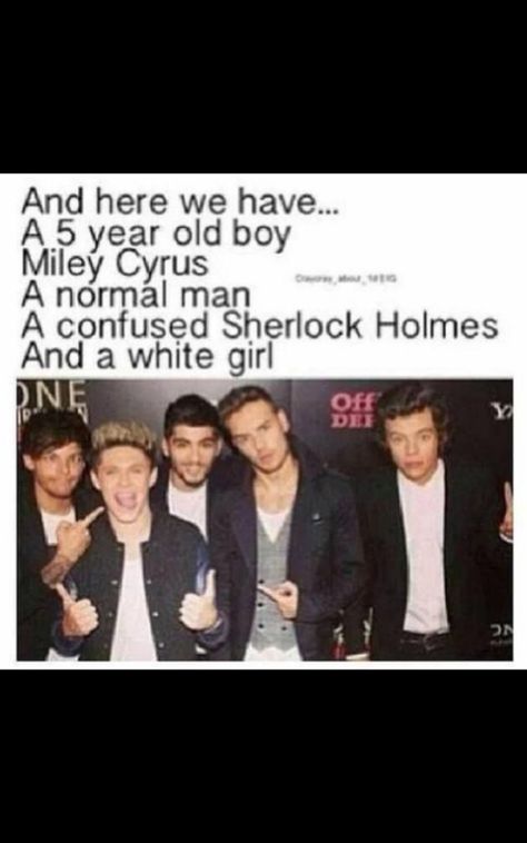 One Direction Collage, One Direction Jokes, One Direction Images, One Direction Louis, 1d Funny, Direction Quotes, One Direction Quotes, Normal Guys, One Direction Humor