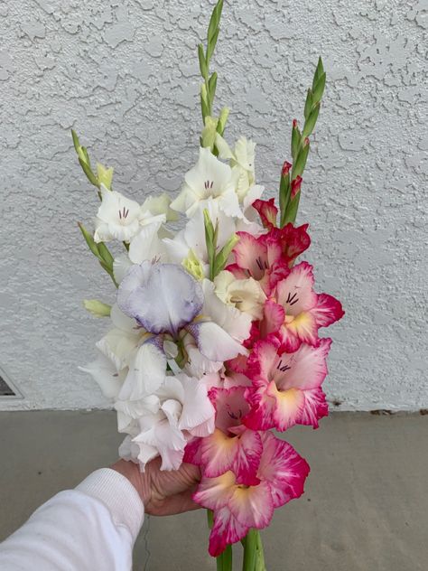 Gladiolus Bridal Bouquet, Gladiolus Wedding Bouquet, Gladiola Flower, Gladiolus Wedding, Gladiolus Bouquet, Dream Flower, Poppy Bouquet, Gladiolus Flower, 30th Bday