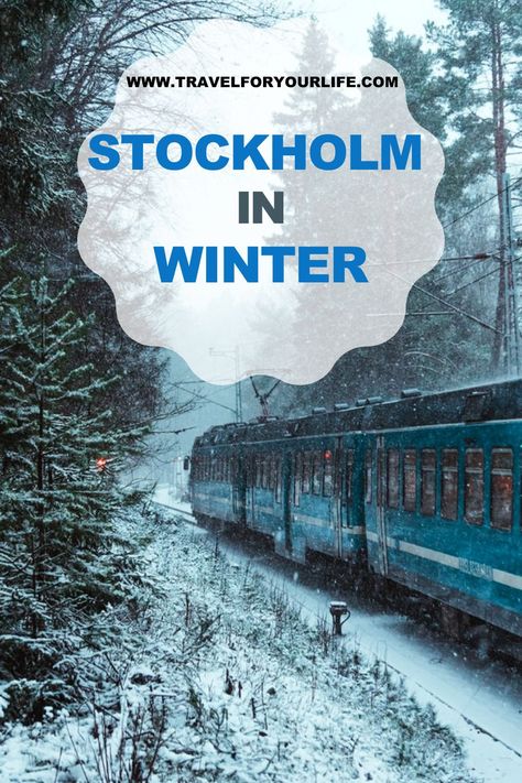 Stockholm in winter Stockholm To Do, Vasa Ship, Stockholm Winter, Stockholm Travel, Incredible Nature, Visit Stockholm, Nomad Life, Quit Your Job, Sweden Travel