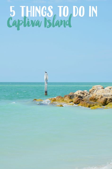 Plan a trip to Captiva Island and stay at South Seas Island Resort! Enjoy these Florida family activities in this summer hot spot! North Captiva Island, Sanibel Florida, Captiva Island Florida, Florida Getaway, Sanibel Island Florida, Usa Roadtrip, Beach Destinations, Sea Resort, Florida Trip