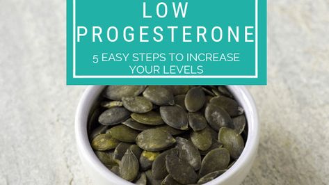 Progesterone Deficiency, Natural Fertility Boosters, Increase Progesterone, Low Progesterone, Testosterone Boosting Foods, Luteal Phase, Zinc Rich Foods, Low Estrogen Symptoms, 12 Minute Workout