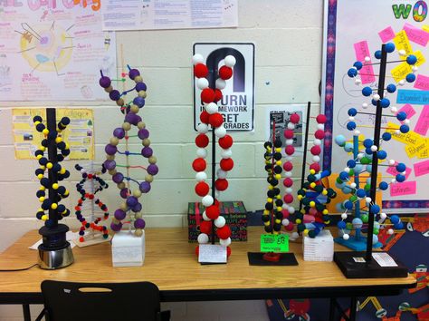 DNA continued Dna Model Project Ideas Biology, Dna Model Project, Dna E Rna, Dna Project, Chemistry Projects, Cells Project, Biology Projects, Biology Resources, Biology Classroom