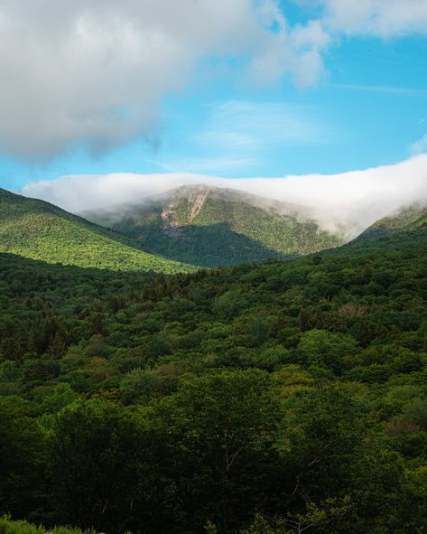 With Laconia just around the corner, I wanted to get my White Mountains travel guide up on the blog for y’all! I spent four days exploring New Hampshire last year during the 100th anniversary of Lacona Bike Week, with 2.5 of those days being centered around the White Mountains. Whether you’re looking for food recs, scenic roads, or other things to do that aren’t based around standing in a sea of bikes at Weirs Beach during Bike Week, check out the latest blog on the site! Special thanks to ... Motorcycle Touring, Mountains Travel, Scenic Roads, Mountain Travel, Four Days, White Mountains, Bike Week, 100th Anniversary, Those Days