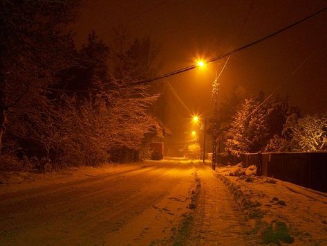 Orange Glow, Late Autumn, Light Pollution, Orange Aesthetic, Winter Nights, Street Lamp, Cool House Designs, Winter Aesthetic, Street Light