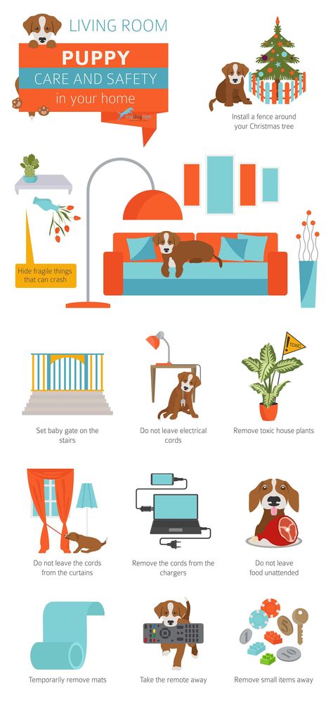 8 Ways to Puppy-Proof Your Home for Christmas Graphic Puppy Proofing House Ideas, Puppy Hacks, Puppy Proofing House, Dog Having Puppies Tips, Preparing For A Puppy, Prepare For Puppy, Puppy Space, Puppy Training Guide, Puppy Proofing