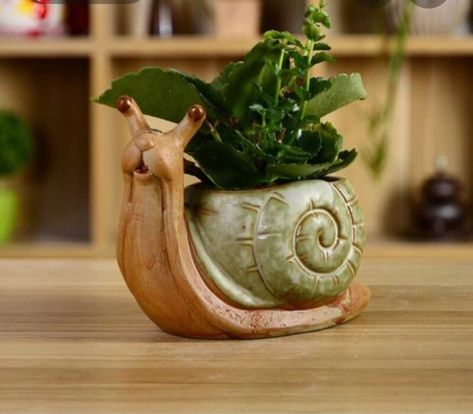 Mini Garden Design, Snail Planter, Ceramic Snail, Ceramic Succulent Pots, Succulent Garden Design, Pottery Animals, Animal Planters, Flower Pot Garden, Planter Pots Outdoor