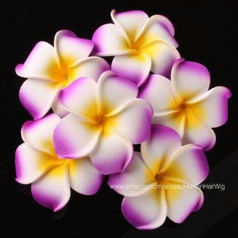 Purple Flowers Frangipani Wedding, Purple Plumeria, Wedding Bouquet White, Bouquet Birthday, Vintage Wedding Flowers, Purple Palette, Purple Color Palettes, Plumeria Flowers, White Wedding Bouquets